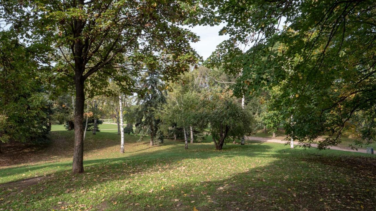 луксозно студио One Place In A1 - лозенец *